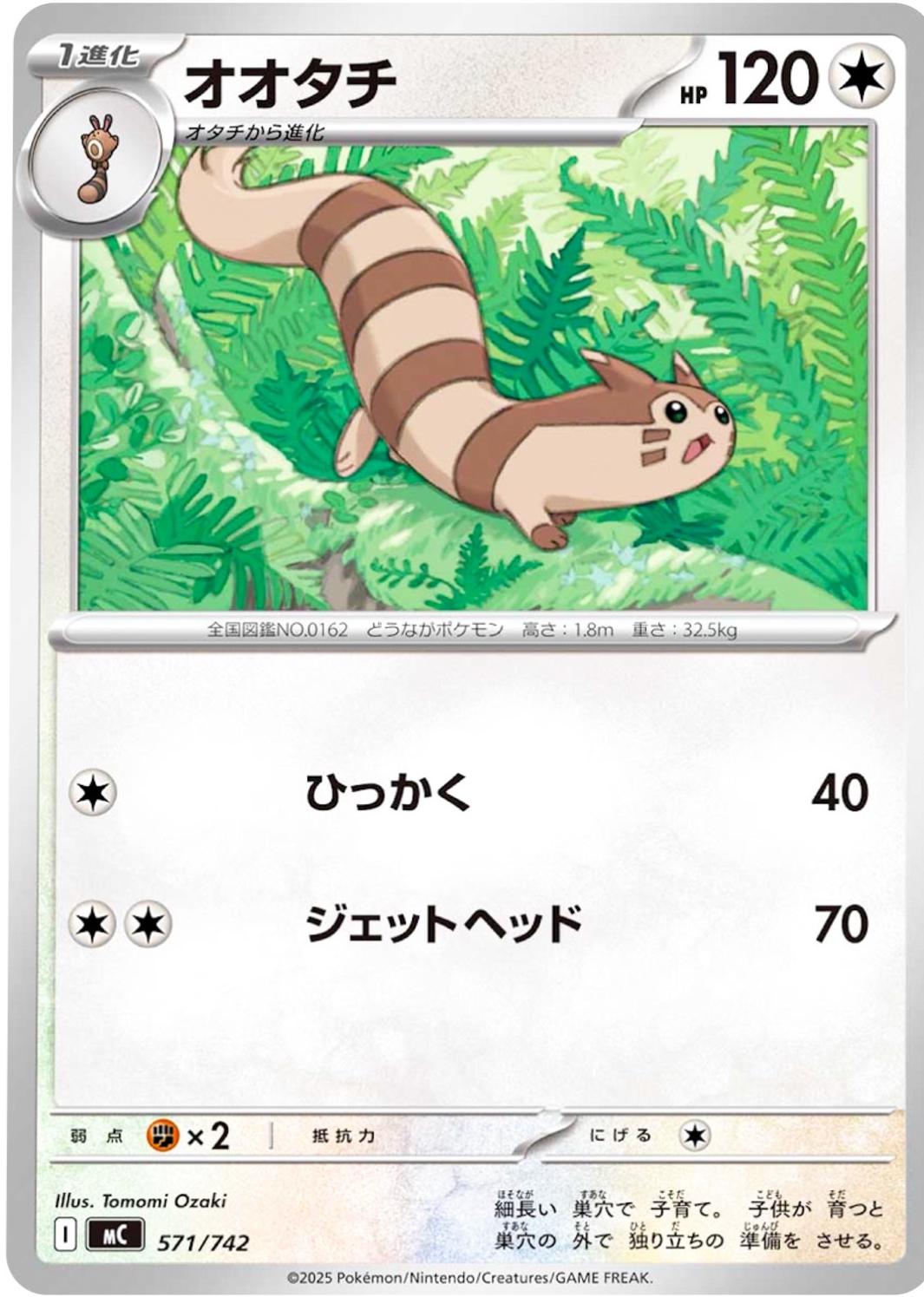 Furret